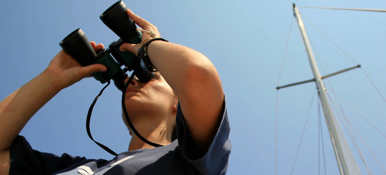 Walschutzprojekt in Italien