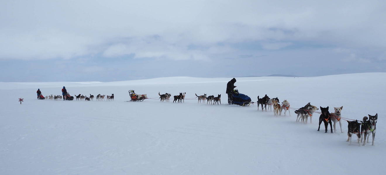 Freiwilligenarbeit in Schweden