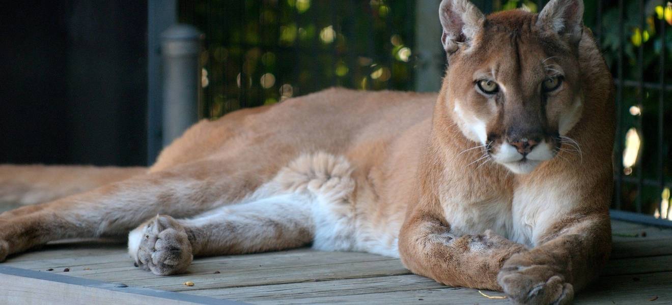 Freiwilligenarbeit in Ecuador