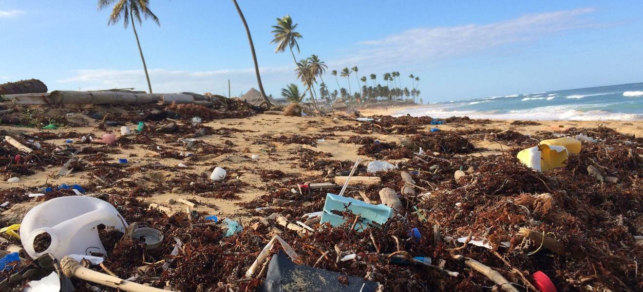 Freiwilligenarbeit Galapagos Plastik