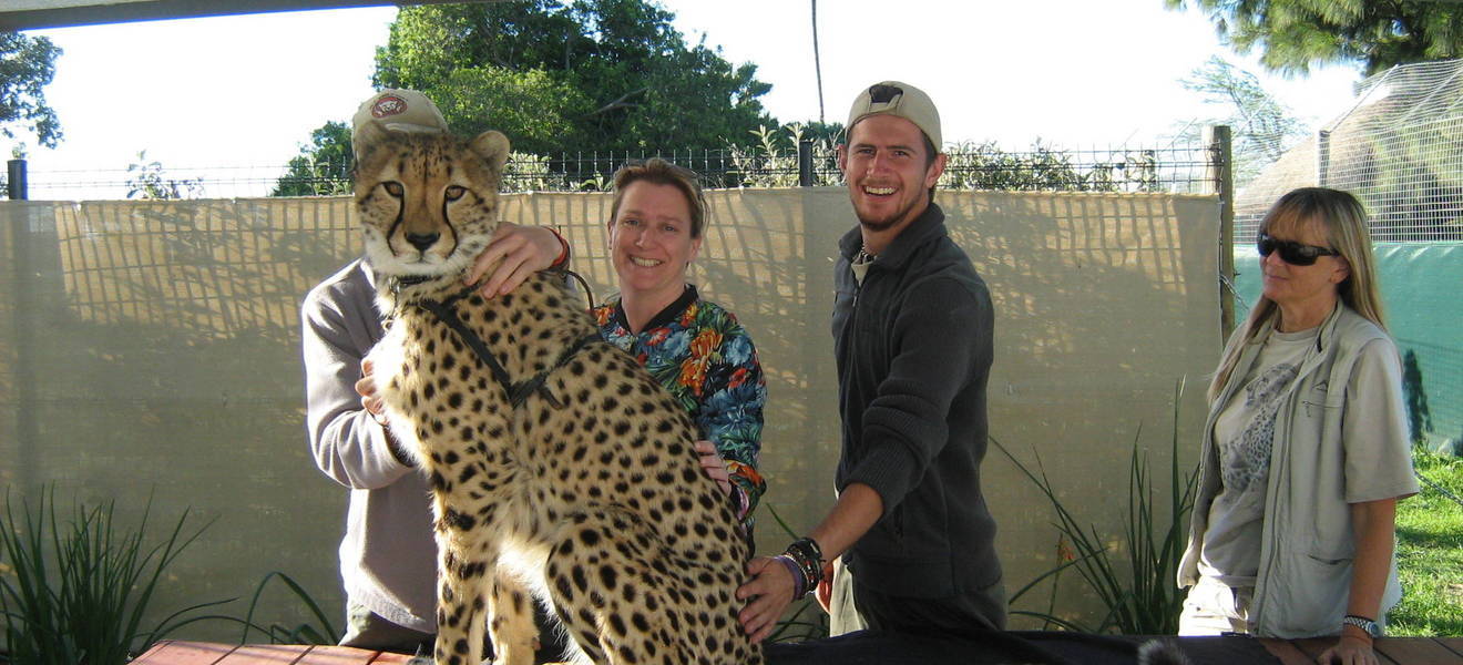 South Africa volunteering in the animal welfare project