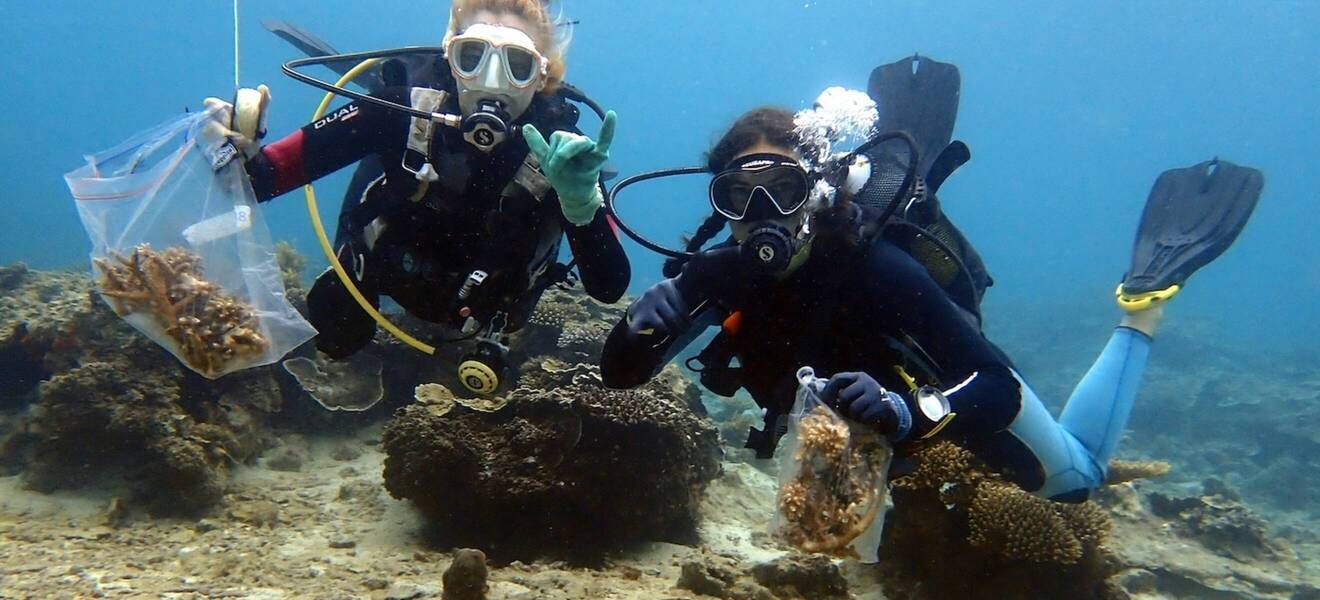 Coral protection and diving project in Tanzania