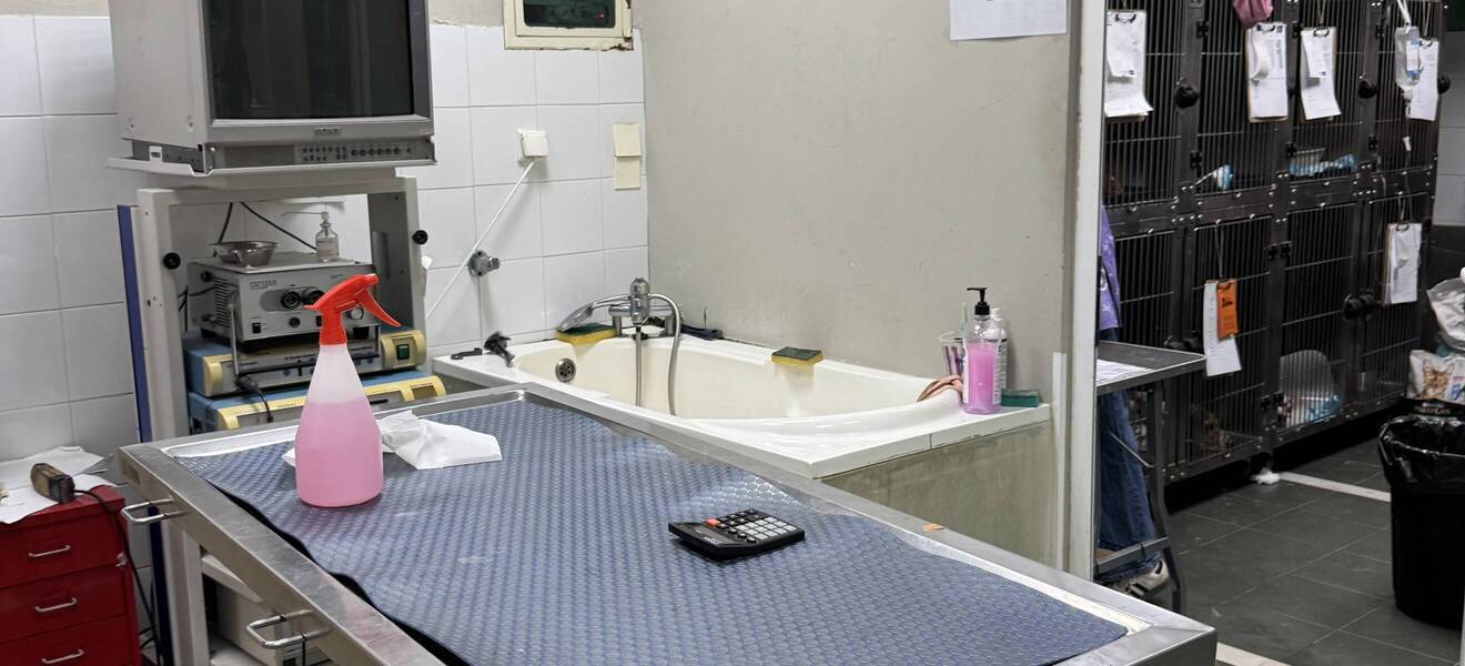 Tierklinik auf Kreta - Worum geht's?