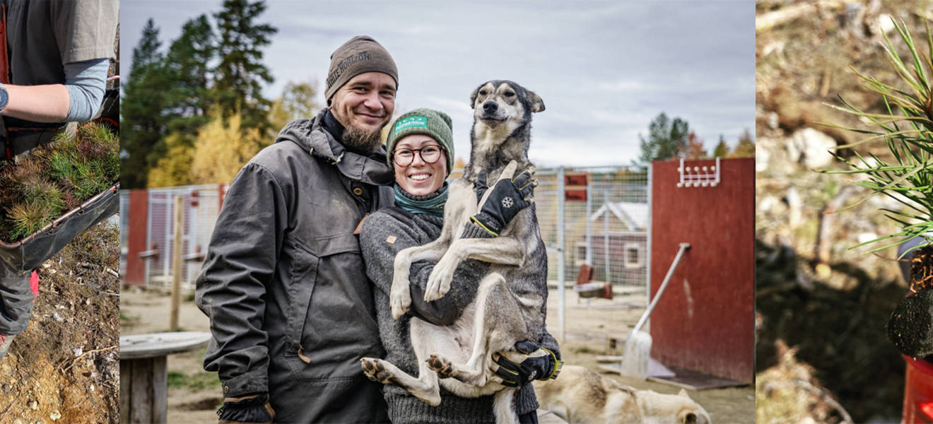 Freiwilligenarbeit im Klimaschutzprojekt Aufforstung in Schweden