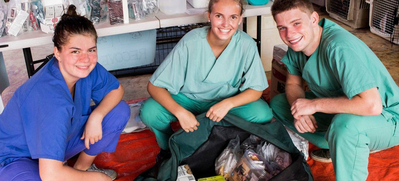 Volunteering im Tierschutzprojekt in der Dominikanischen Republik