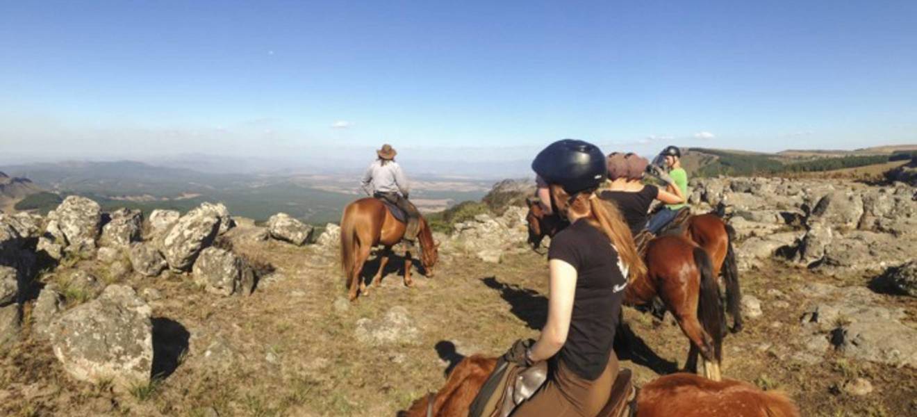 Projekt Pferdefarm Südafrika