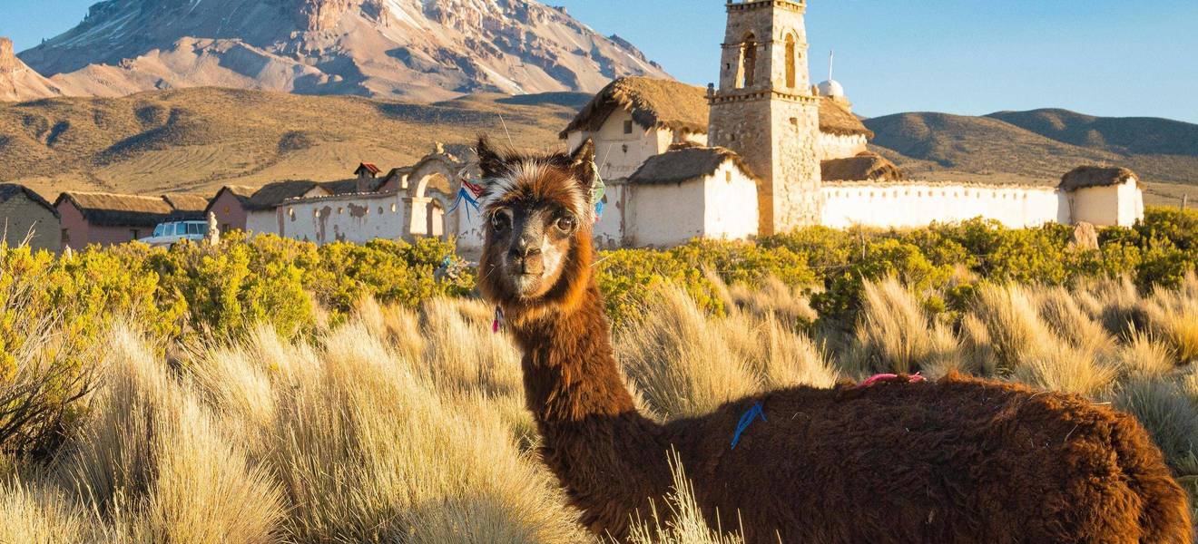 Entdecke Bolivien als Volunteer