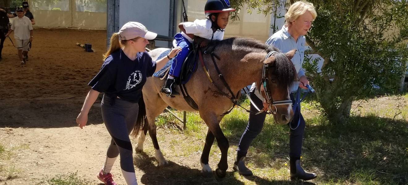 Reitprojekt in Kapstadt
