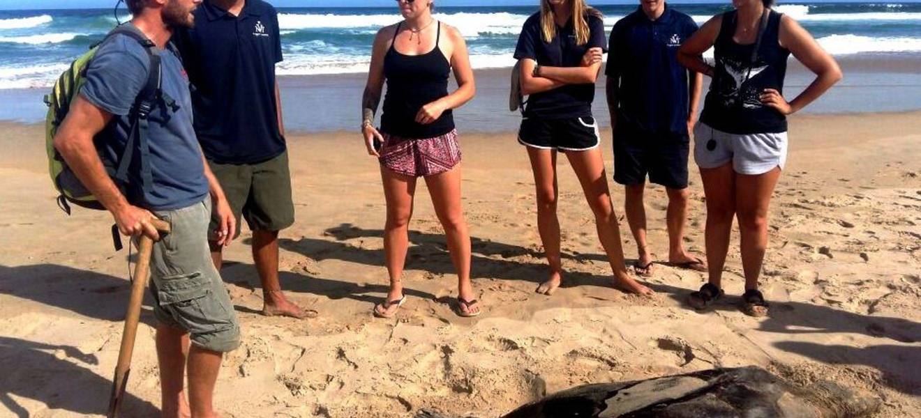 Orientierung in Port Elizabeth