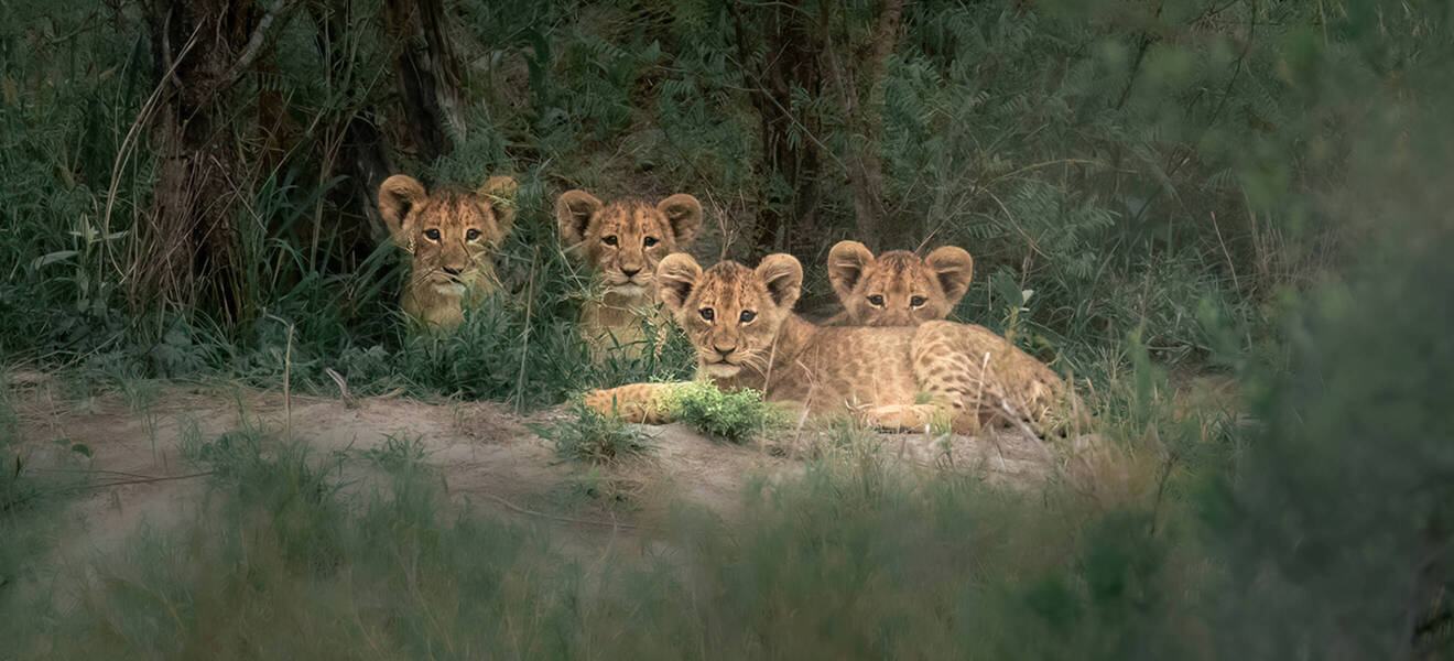 Ankunft in Südafrika