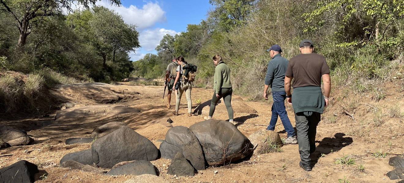Orientierung in Südafrika