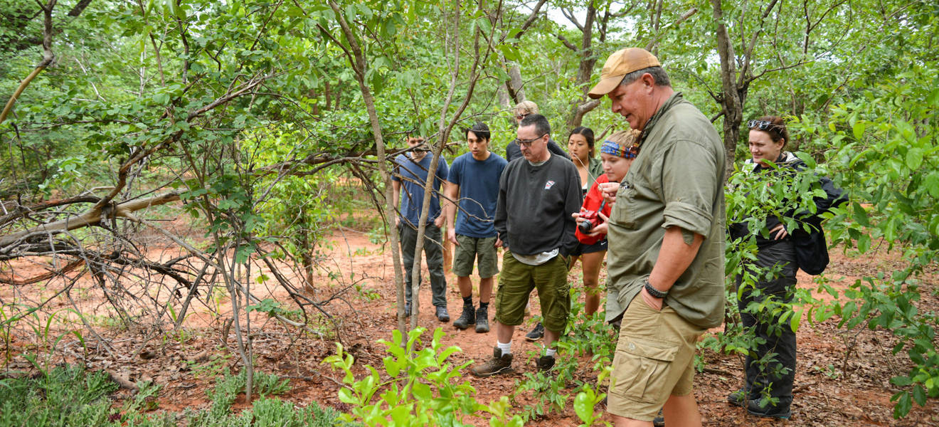 Orientierung in Victoria Falls