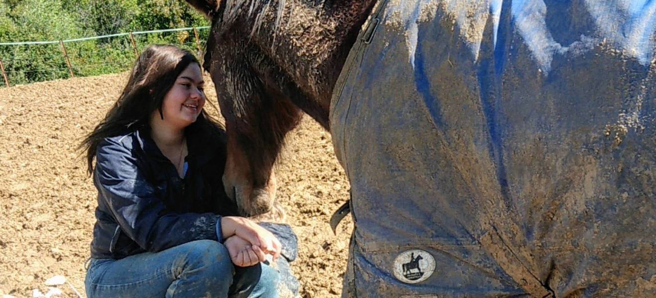 Pferdeprojekt in Andalusien