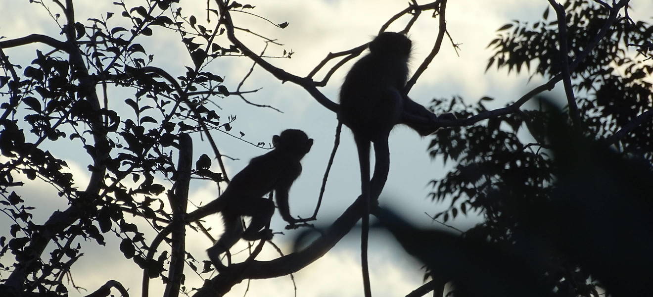 Ankunft in Südafrika