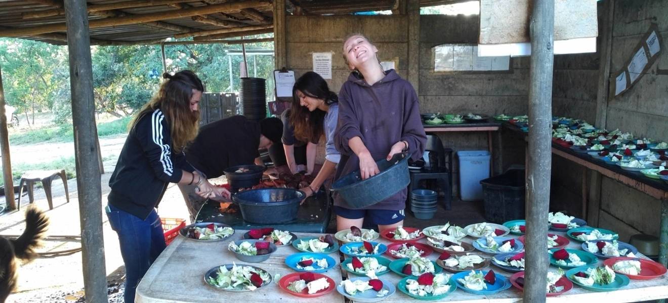 Volunteering in Südafrika