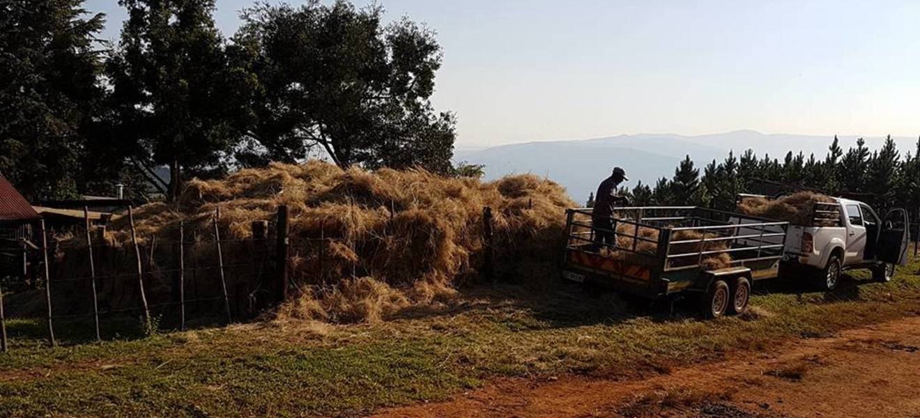 Ankunft in Südafrika