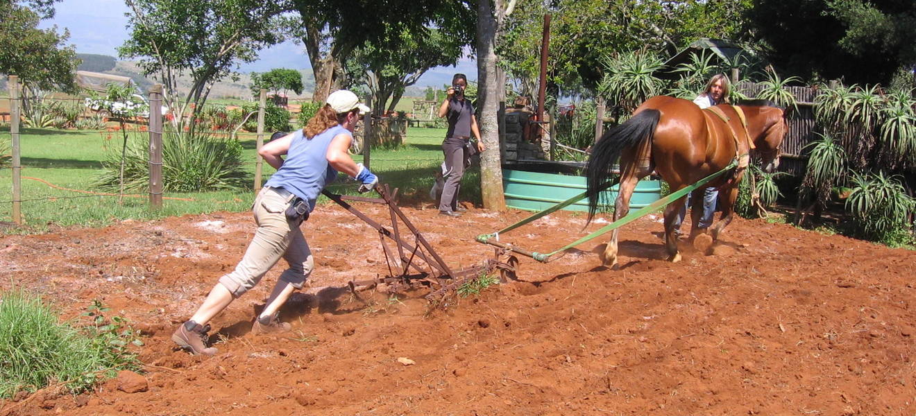 Volunteering in Südafrika Nordost