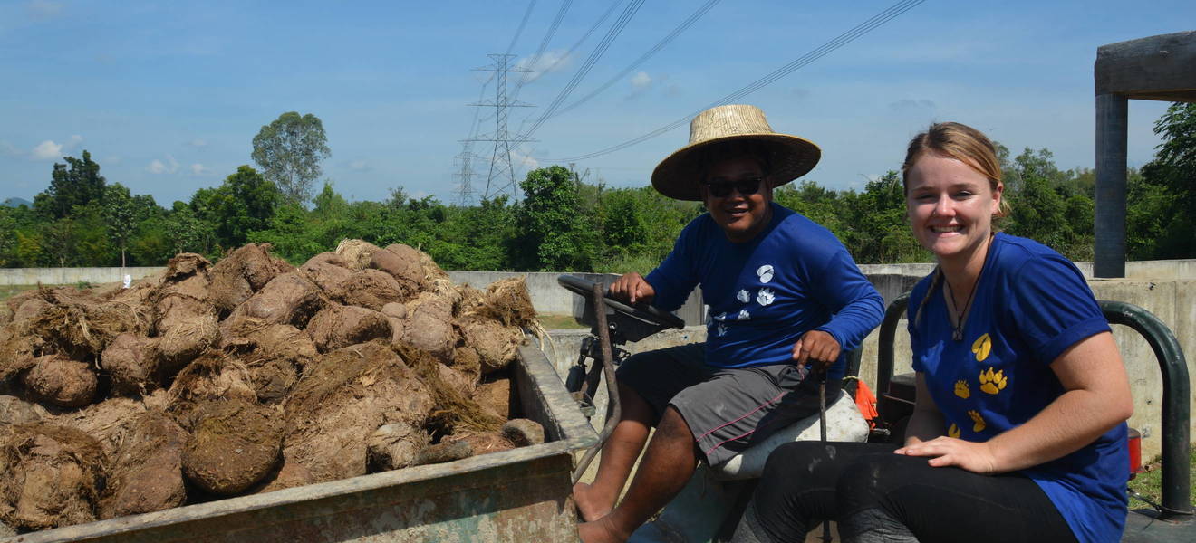 Volunteering in Zentralthailand