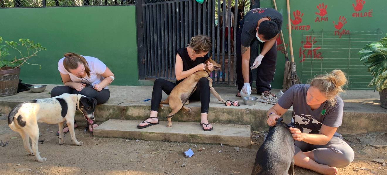 Volunteer Projekt in Prachuap Khiri Khan