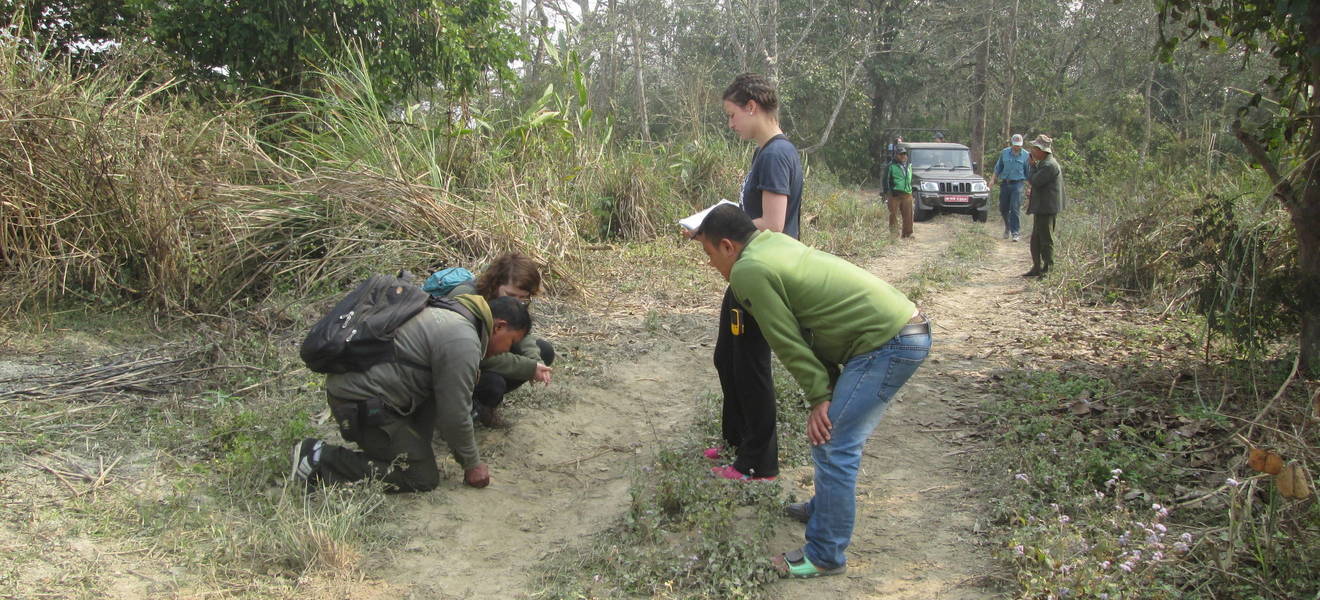Projektarbeit in Meghauli