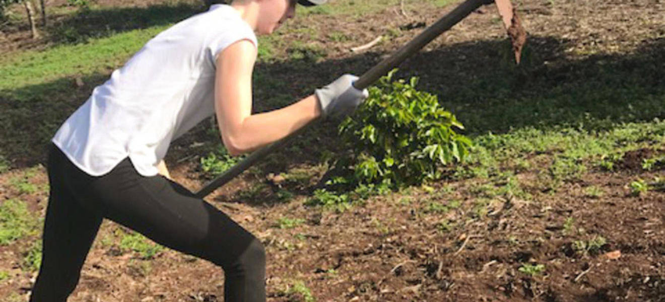 Volunteer auf Galapagos