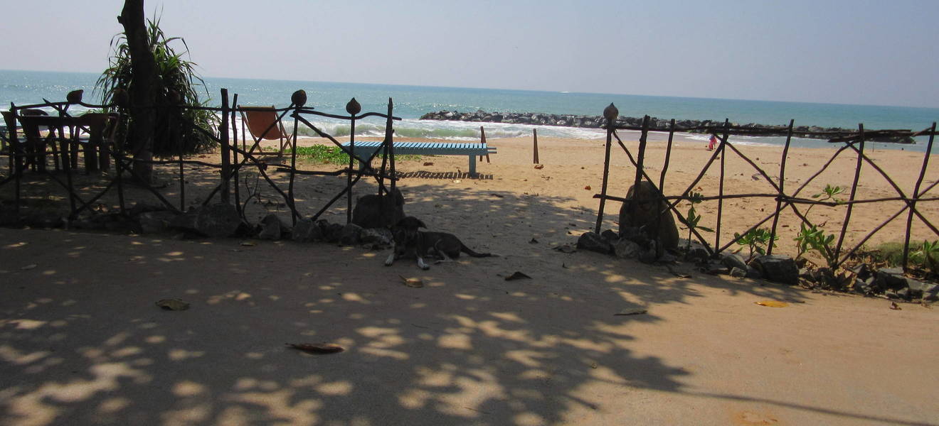 Orientierungsprogramm in Sri Lanka