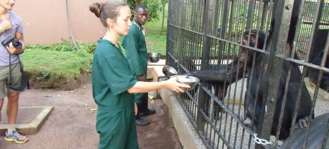 Volunteer Projekt am Lake Victoria