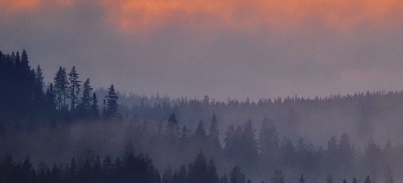 Ankunft in Schwedisch Lappland