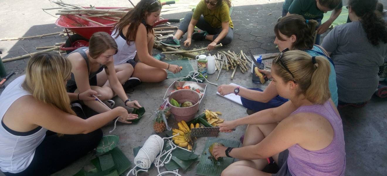 Tierschutz Projekt auf Bali