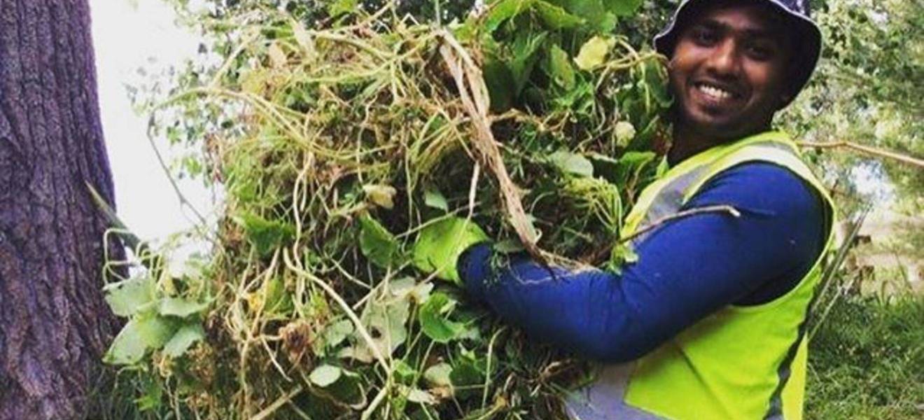 Volunteering in Auckland