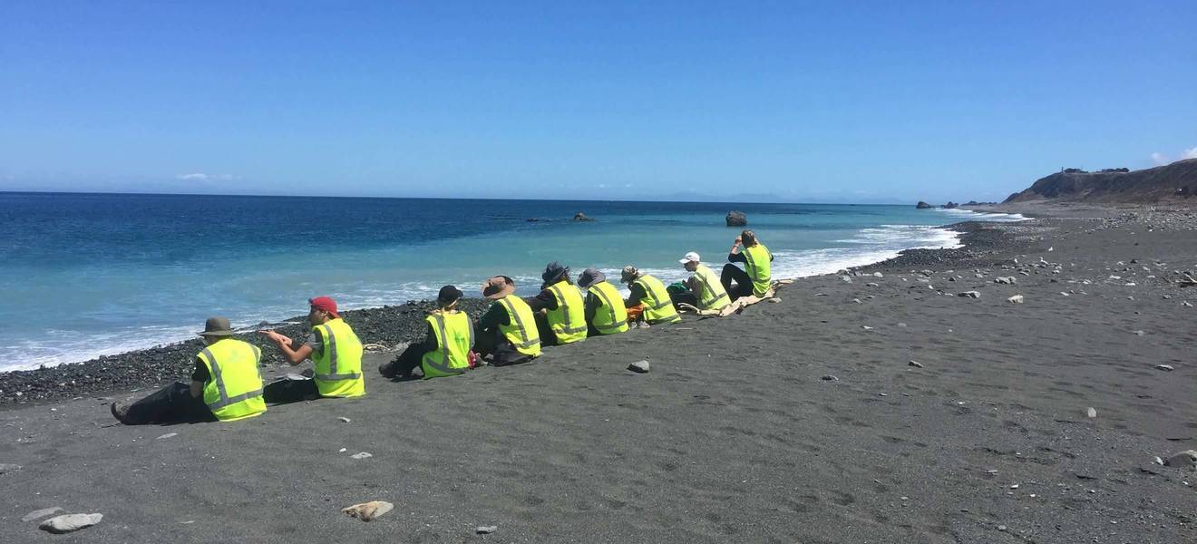 Freizeit in Wellington