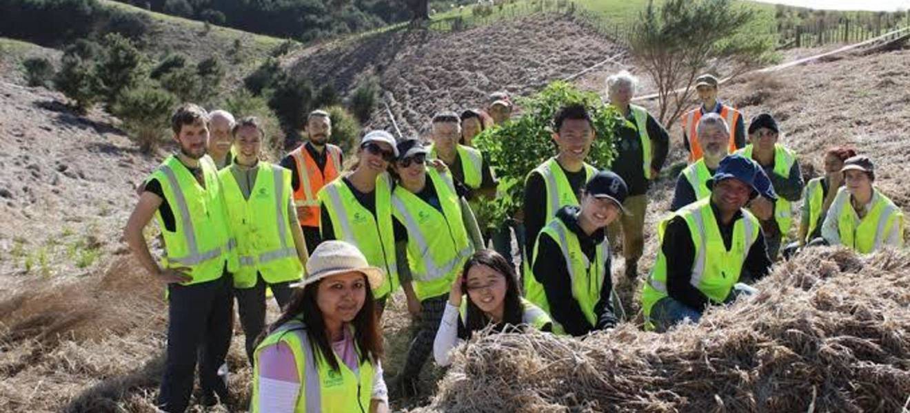 Volunteering in Christchurch