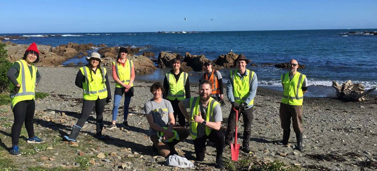 Volunteering in Wellington