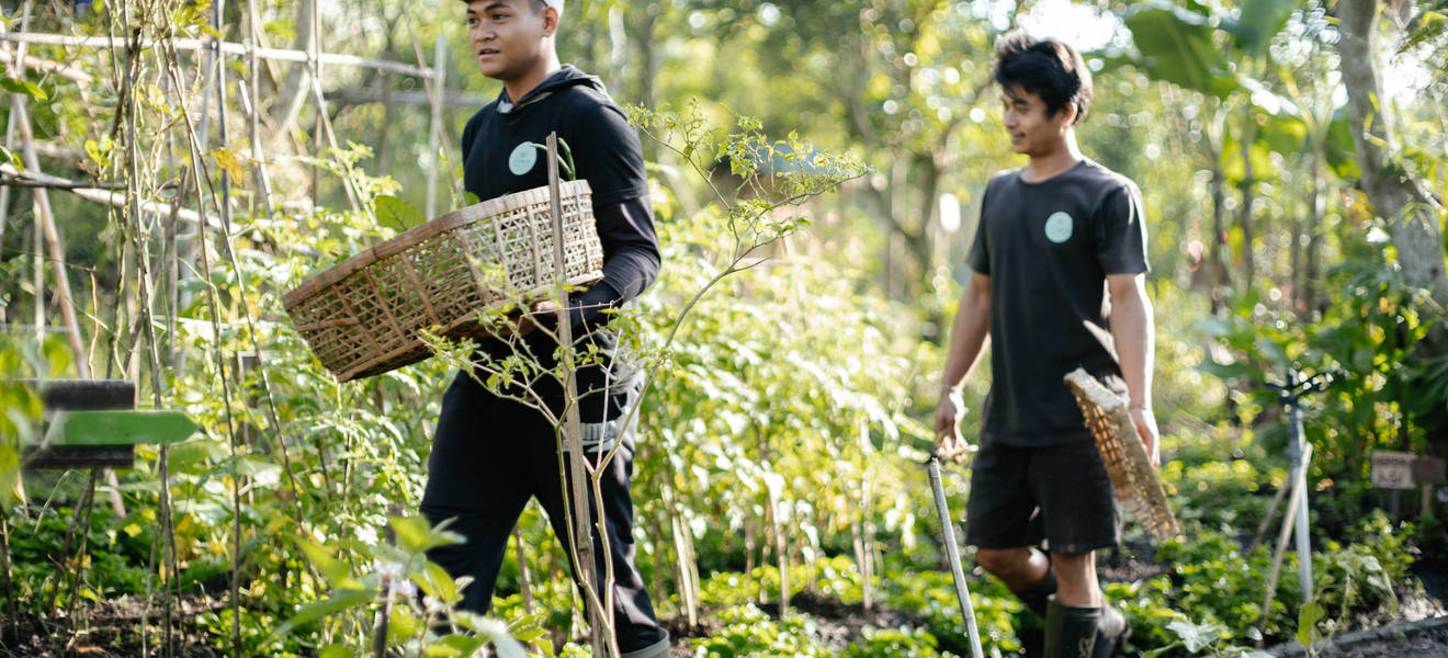 Projekt im Permakultur Garten auf Bali