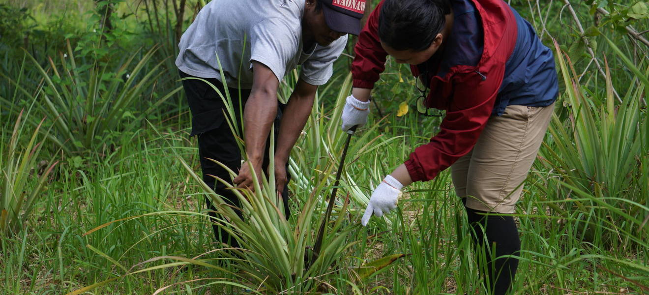 Volunteer project on Borneo