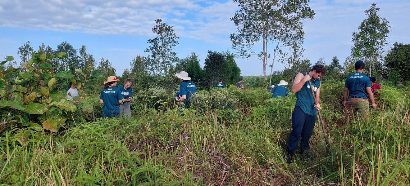 Volunteers auf Borneo