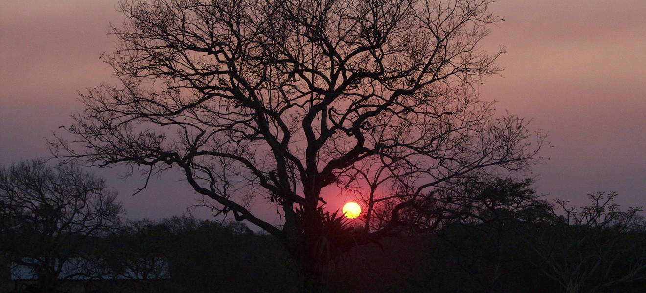 Freizeit in Santa Cruz