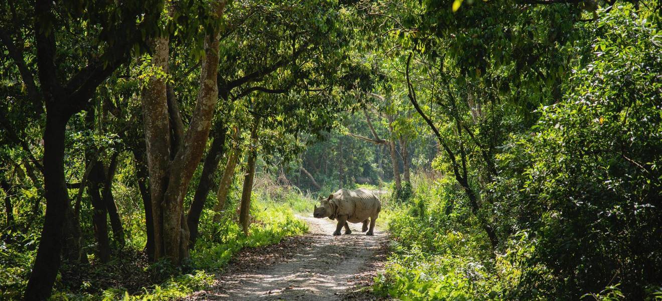 Freizeit im Chitwan Nationalpark