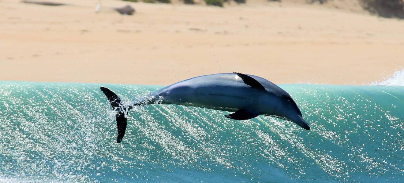 Freizeit in Port Elizabeth