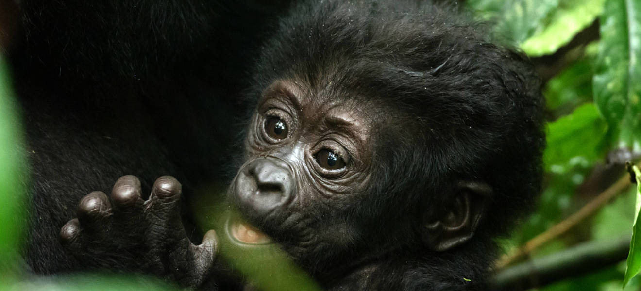 Freizeit im Nationalpark in Uganda