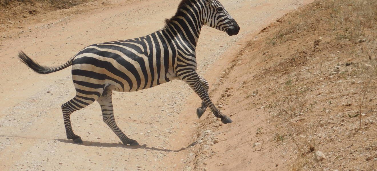 Freizeit in Arusha und Iringa