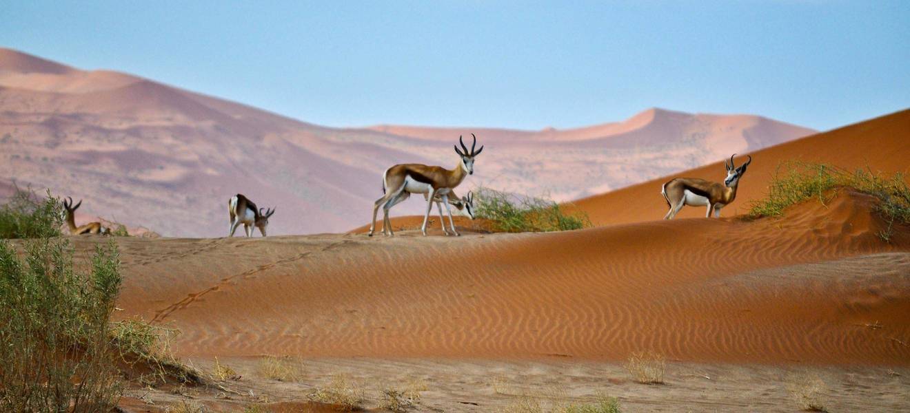 Freizeit in Gobabis in Namibia