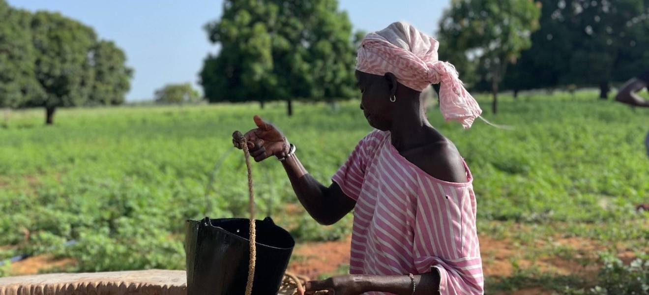 Organic farm work in Senegal