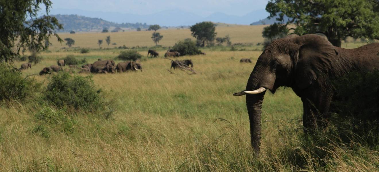 Freizeit_Uganda_Banner