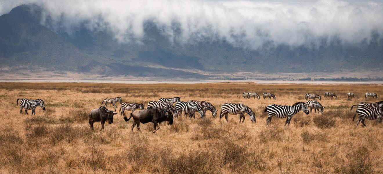 Banner_Freizeit_Daressalaam_Iringa_Arusha_Mtwara