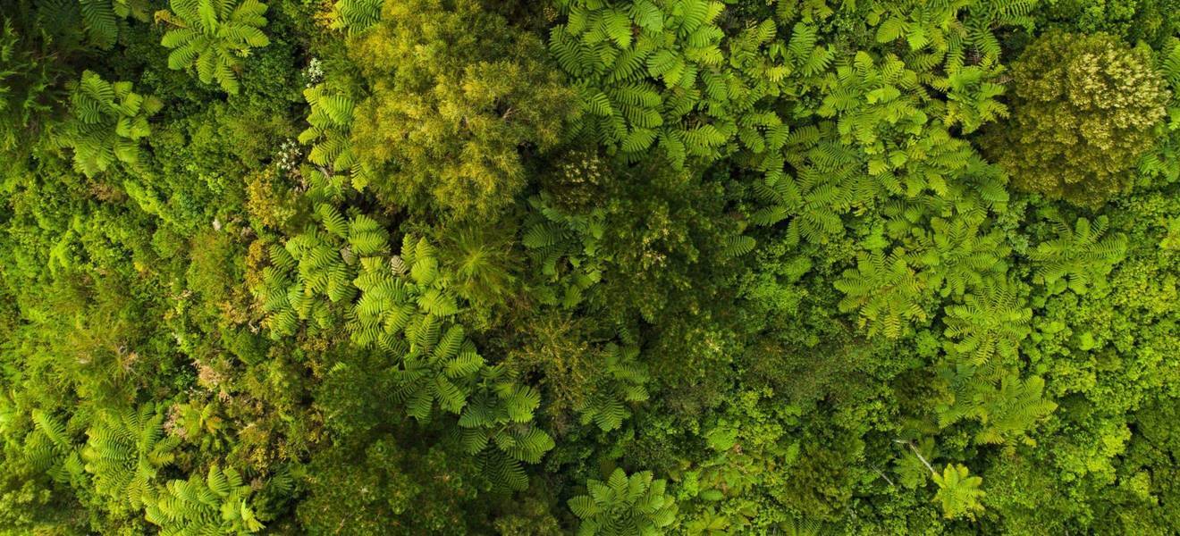 Corporate Social Responsibility - Umwelt