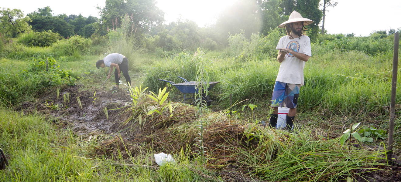 Volunteering in einem Ashram