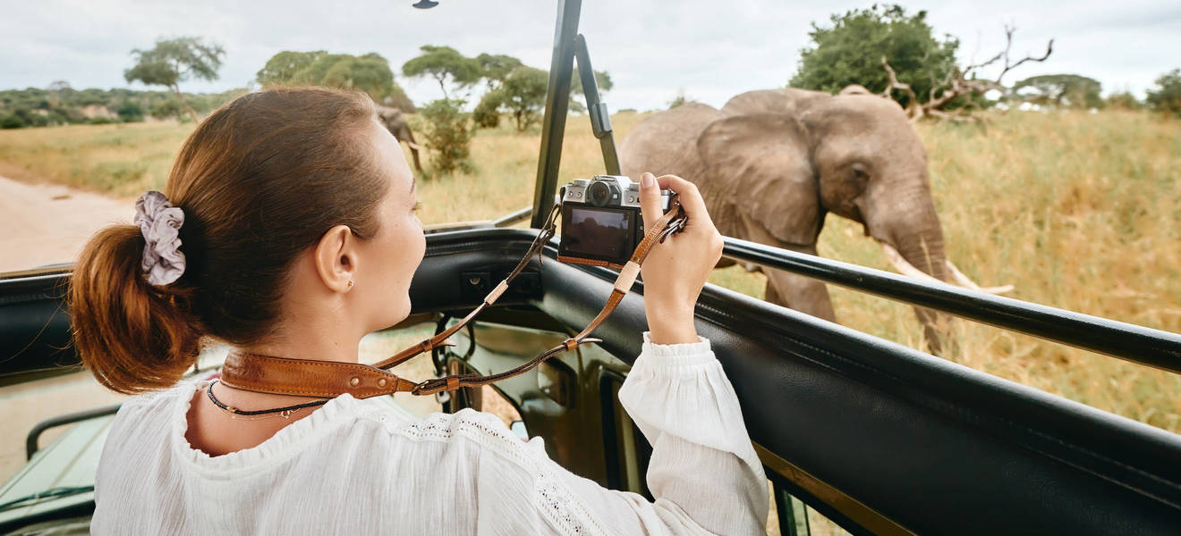 Finde das passende Volunteer Projekt
