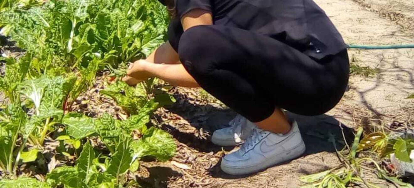 Umweltschutzprojekt in Südafrika