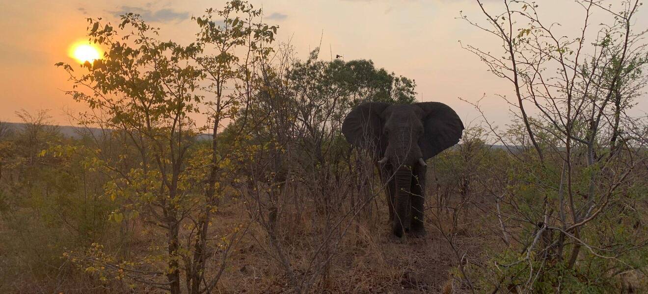 Freizeit in Simbabwe